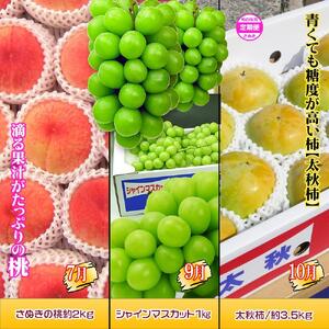 坂出産のフルーツとさぬきの特産品の定期便6回【Aコース】