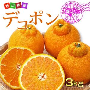 香川のあま～いデコポン［不知火］3kgの詰め合わせ