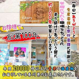 今が旬の柑橘勢揃い！坂出産の柑橘詰め合わせセット