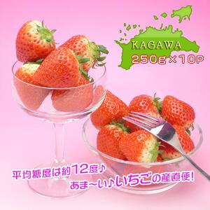 香川県オリジナル品種！さぬき姫いちご10パック