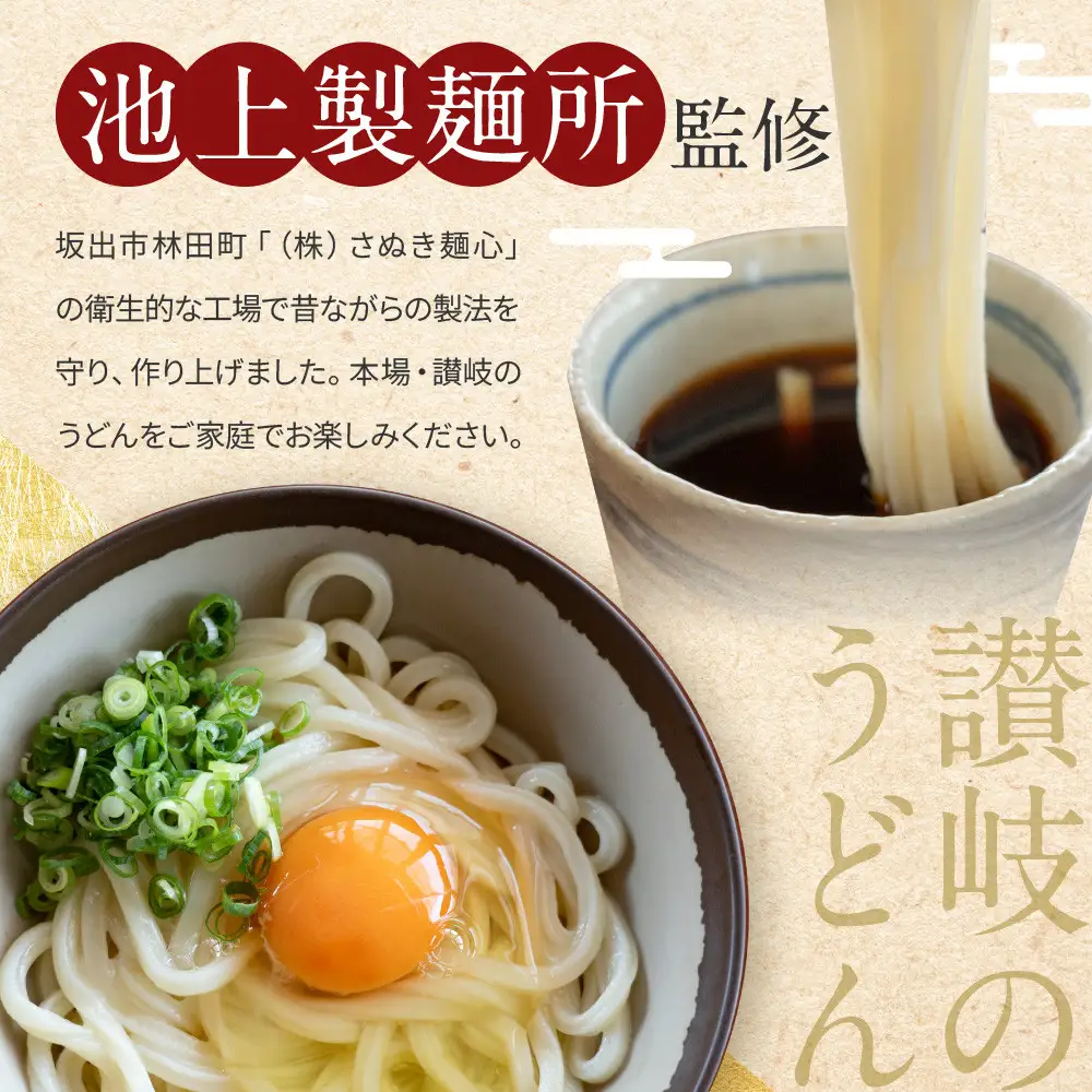 讃岐生うどん12食入（1袋3食入×4袋）＊鎌田醤油だし醤油付＊  池上製麺所監修！｜うどん