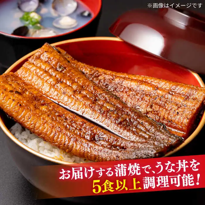 うなぎ 国産 特大 蒲焼き 2尾 400g以上 [ALDC001]うなぎ
