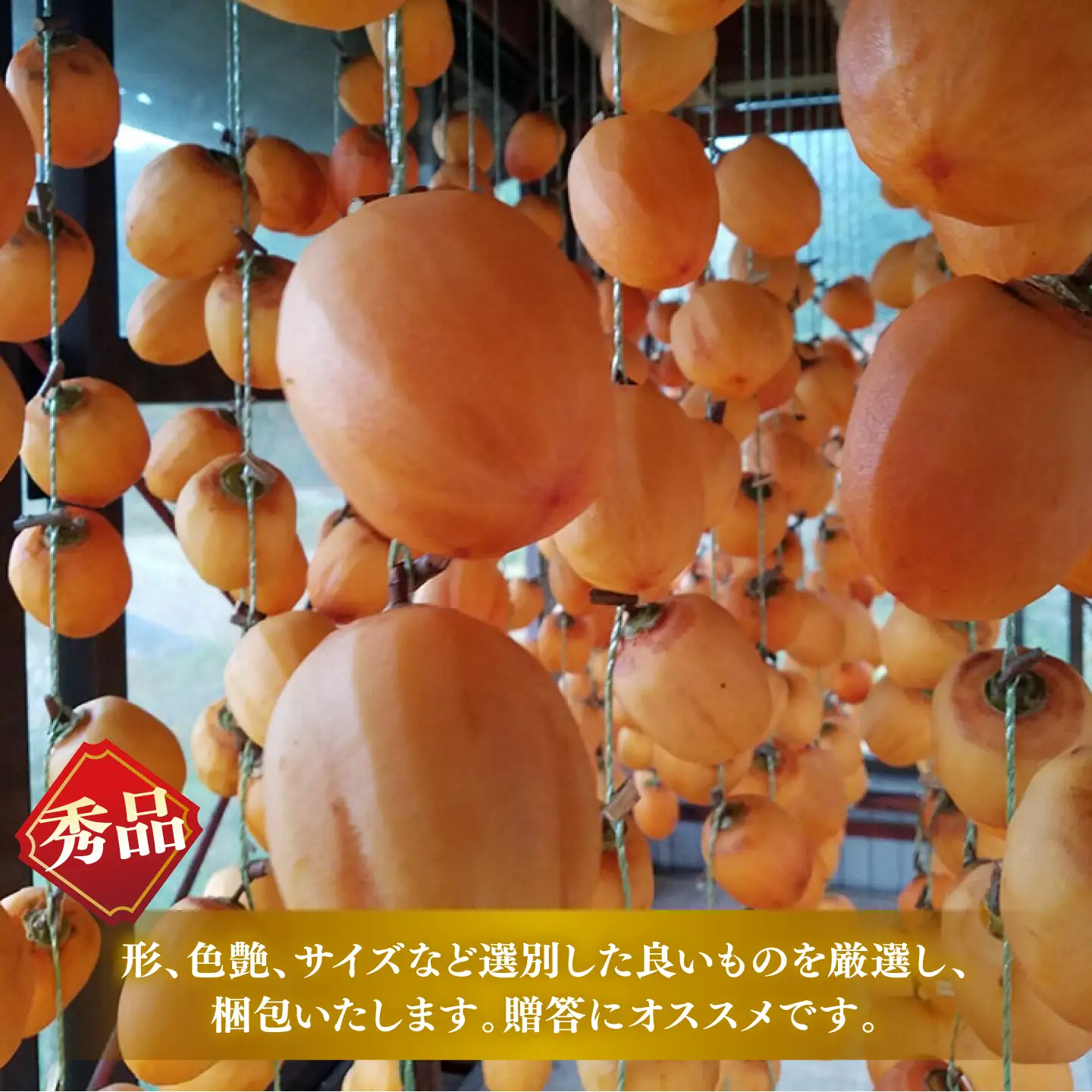 柿 【先行予約】【5個限定】【秀品】 松江市産西条柿自宅でできる「つるし柿セット」 5kg 島根県松江市/マルカミ農縁株式会社 [ALCM002] 柿 柿