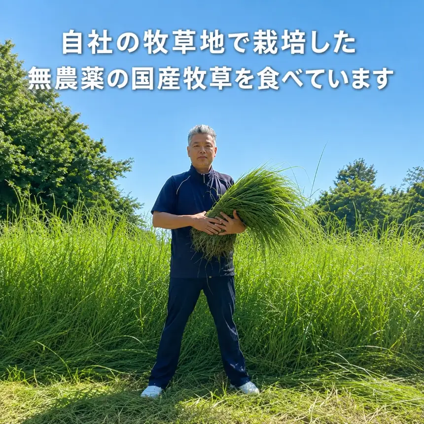 国産グラスフェッド【人間・ペット兼用】粉末ヤギミルク200g×1袋　スプレードライ加工（愛知ヤギ農場産）