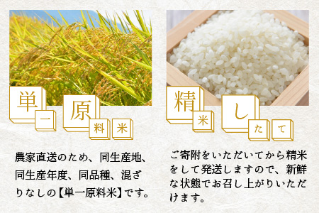【令和5年産】【6ヶ月定期便】福井県大野市産 コシヒカリ 白米 精米 5kg 農家直送 [D-013001]