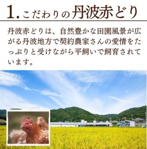 鶏肉 丹波赤どり手羽先 6kg 丹波山本 鶏肉 国産鶏肉 鶏肉 亀岡産鶏肉 訳あり鶏肉
