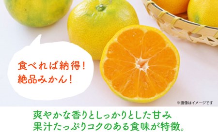 【先行予約】極早生（谷本早生） みかん Sサイズ 約5kg ー2026年10月より発送ー 長与町/山口農園 [EBI006]  みかん 柑橘 果物 くだもの フルーツ 季節限定 数量限定 温州みかん ミカン 5kg 先行予約 産地直送 長崎県産 長与町