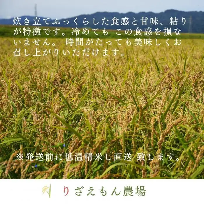《令和8年　新米予約受付》白米5kg　南魚沼産こしひかり　魚野川流域　匠 雲蝶(たくみ　うんちょう） ＼生産農家直送／｜こしひかり【2026年10月上旬より順次発送予定】