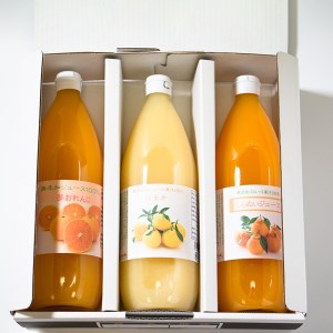 柑橘 みかん ジュース 夢おれんじ はるか 不知火 しらぬい 1000ml 3種 無添加 ストレート 果汁 100% 柑橘 果物 国産 フルーツ 有名 蜜柑 ブランド オレンジ ビタミン 美味しい 贈答 ギフト プレゼント みかん職人武田屋 愛媛県 愛南町