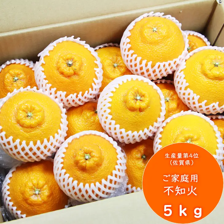 【先行予約】ご家庭用 不知火（しらぬい）５kg  R9年4月より発送 デコっとしてポン B140-029