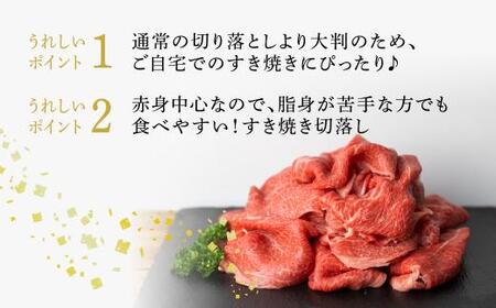 飛騨牛 すき焼き 切落し 600g | すき焼き BV009