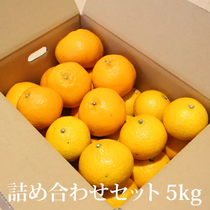 【先行予約】R9年2月出荷予定! ご家庭用スィートスプリングとはるみセット（５kg）  B120-083