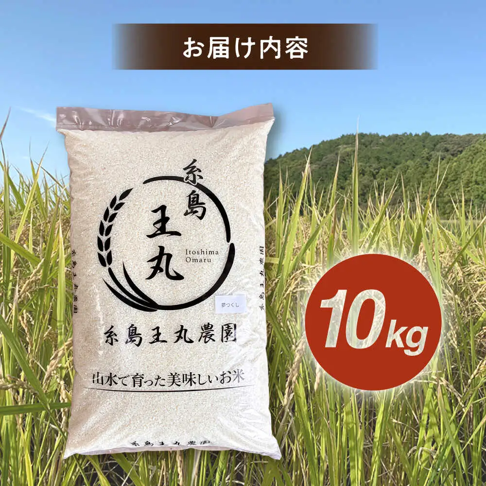 糸島産 夢つくし 10kg　糸島市 / 糸島王丸農園 ( 谷口汰一 ) /いとしまごころ [AAZ005]