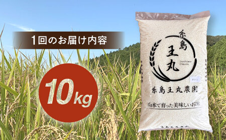 【全12回 定期便】 糸島産 夢つくし 10kg × 12回（月1回）糸島市 / 糸島王丸農園 ( 谷口汰一 )【いとしまごころ】[AAZ008]