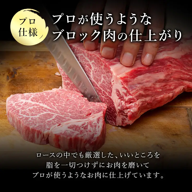 《プロシリーズ》佐賀牛 最上位部位ロースブロック500g ステーキ