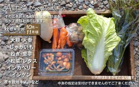 【7月～順次配送】無肥料 自然栽培 野菜セット 5～7種 | やさい 野菜詰合せ 秋野菜 産地直送 詰合せ セット 新鮮野菜 飛騨高山 amrita農園 KM001