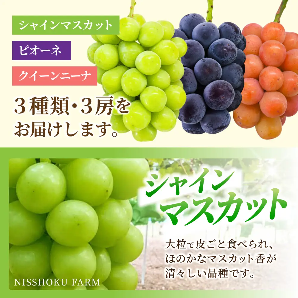 【ふるなびWEEK対象】シャインマスカット 大粒ぶどう3種詰め合わせ 食べ比べシャインマスカット入り 【nisfarm010-02-f】