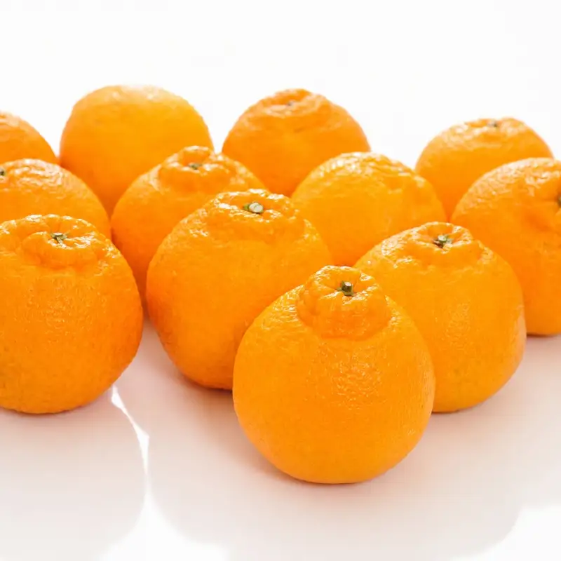 【大人気】和歌山有田の濃厚デコポン　15～24玉(約5kg)　※2027年1月下旬～3月下旬頃順次発送【ard005C】
