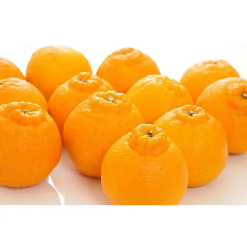 【大人気】和歌山有田の濃厚大玉デコポン　12～15玉(約5kg)※2025年1月中旬～3月下旬（順次発送予定）【ard006C】