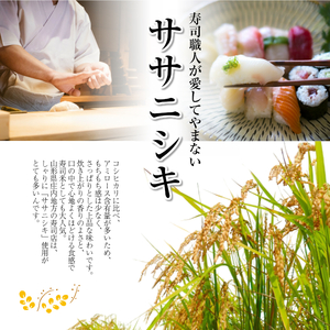 SC0692　令和7年産【精米】ササニシキ　10kg(5kg×2袋)
