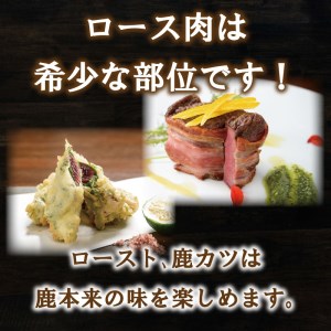 ジビエ 肉 鹿 モモ 500g ロース 500g セット ジビエ ジビエ ジビエ ジビエ ジビエ ジビエ  愛媛県 愛南町