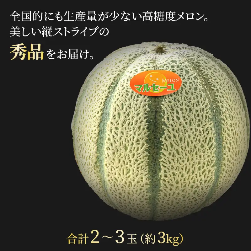【先行予約】佐藤農園のマルセイユメロン 約3kg前後《秀品》(2～3玉入）深みのある甘さ とろける濃厚な赤肉！農家直送 有機肥料 低農薬 ※2027年5月下旬～6月末の間に順次発送 [aw069-a002]
