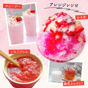 苺 紅白 冷凍いちご 1.3kg いちご 苺 【畠農宝】