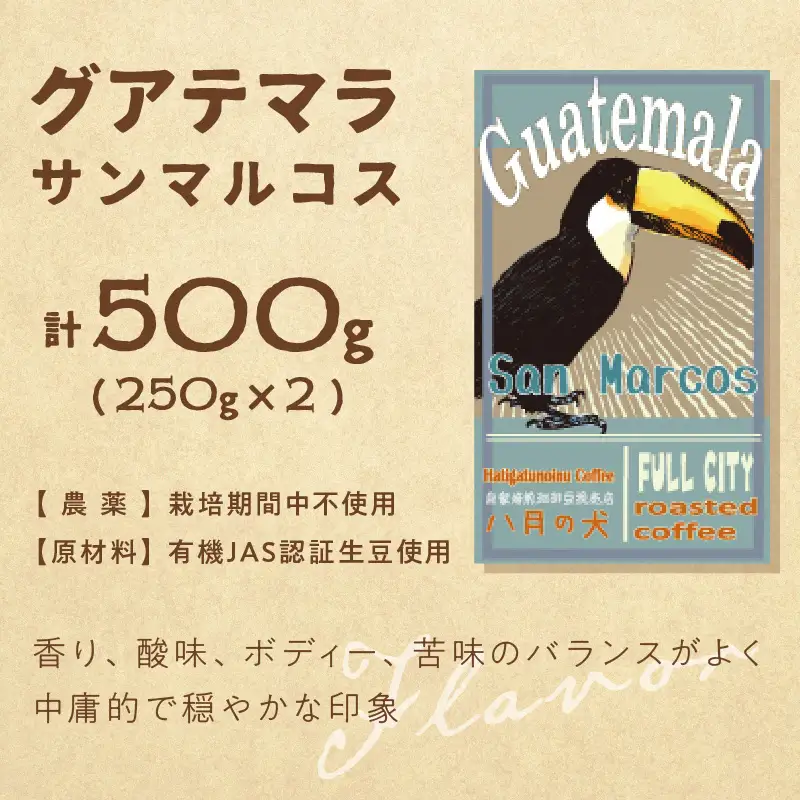 コーヒー豆 飲み比べ 500gx2種 コーヒー豆