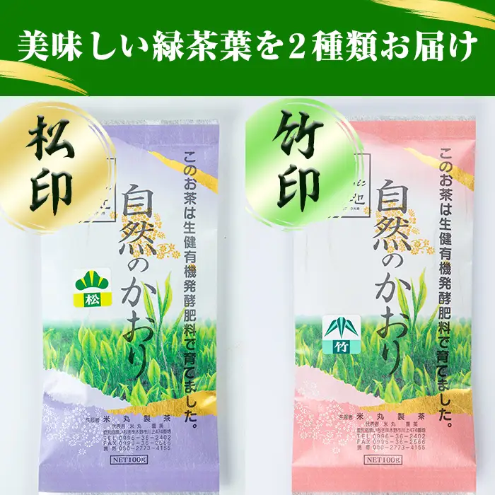 緑茶 9袋 粉末緑茶 2袋 セット 緑茶【00-035-03】