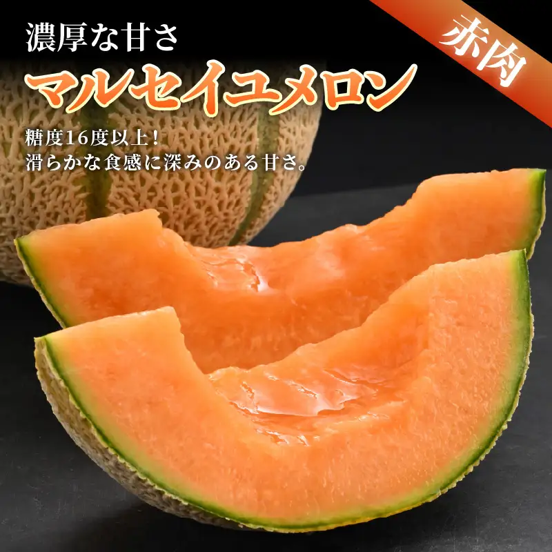 【先行予約】佐藤農園の小玉スイカ・マルセイユメロン セット 計2玉（約2.5kg～3kg） 秀品 農家直送 有機肥料 低農薬 ※2027年5月下旬～6月末の間に順次発送 [aw069-a004]