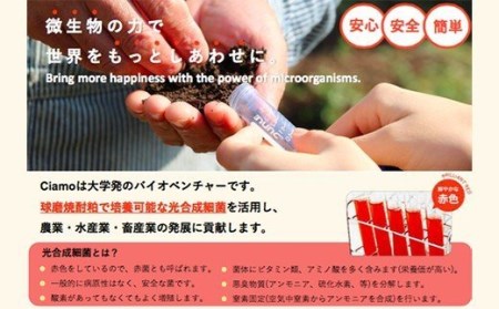 光合成細菌 「くまレッド」（500cc×3個） 球磨焼酎粕使用