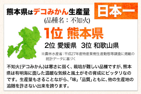ご家庭用 デコみかん 約5kg 12～24玉前後《2027年2月上旬-4月上旬頃出荷》デコポン（不知火）と同品種 熊本県産 熊本県 長洲町 訳あり