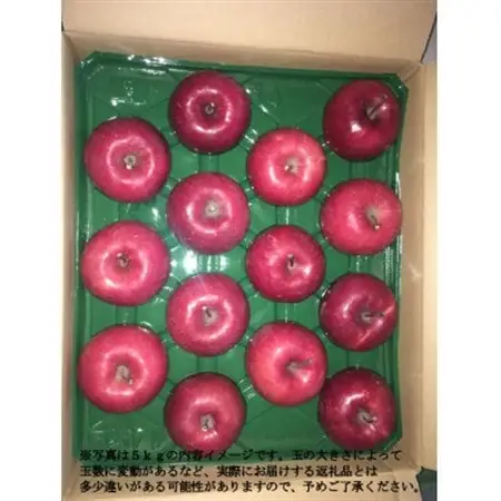 【令和8年産先行受付】北海道深川市産りんご(つがる)5kg【ふるさと納税】【配送不可地域：離島】【1298284】