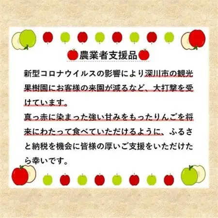 【令和8年産先行受付】北海道深川産りんご(つがる)10kg【ふるさと納税】【配送不可地域：離島】【1298286】