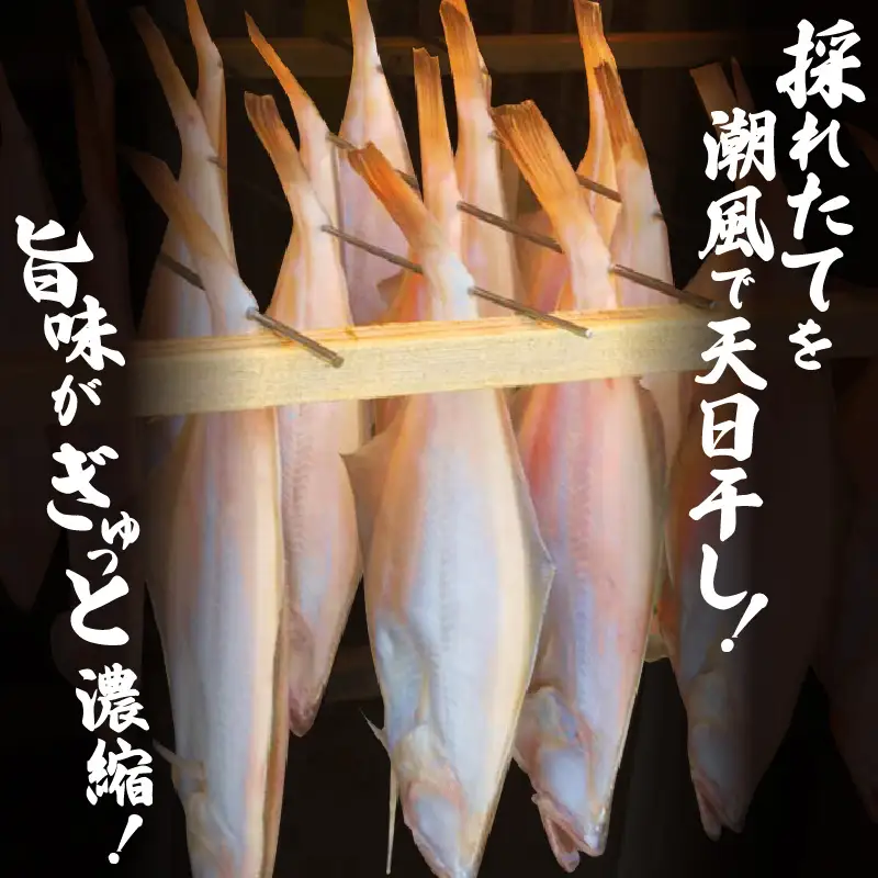 【冷蔵】添加物不使用 越前 赤かれい干物 2枚 大サイズ 2026年11月中旬より発送 「天日干し」旨み濃縮 [e23-a001]