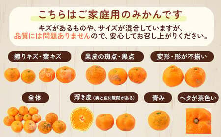 家庭用 極早生有田みかん7.5kg+250g（傷み補償分）【YN26・ゆら早生】【わけあり・訳あり】◇