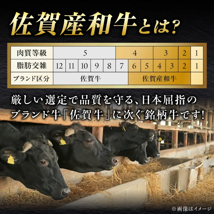 佐賀産和牛 牛タンしゃぶしゃぶセット 500g 牛たん たん[FCJ058]