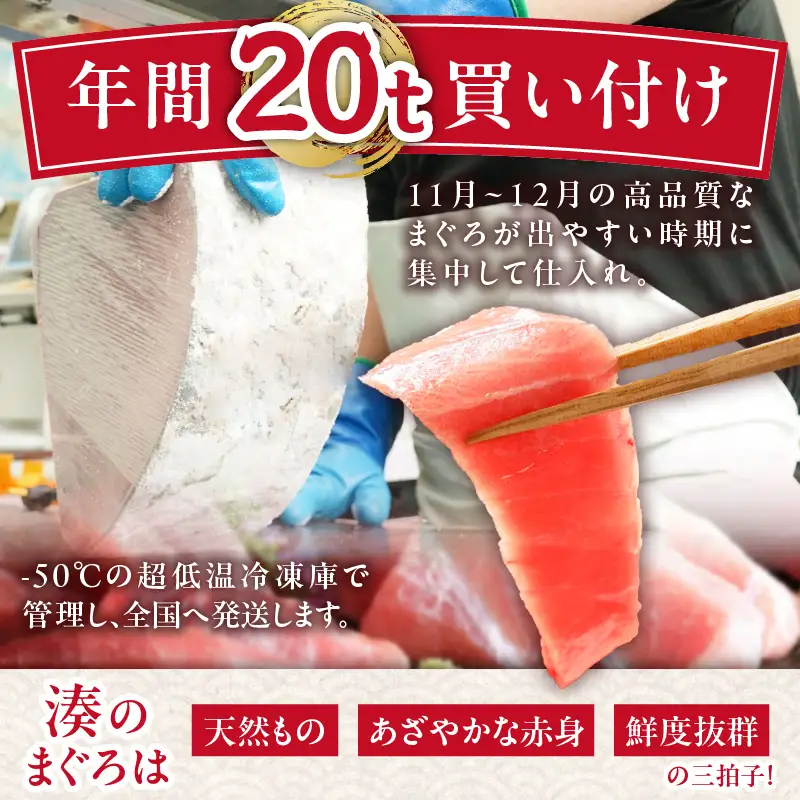 【希少部位】天然インド鮪 ザ・背トロ【簡単解凍切れてるお刺身】 M005-002 冷凍 マグロ