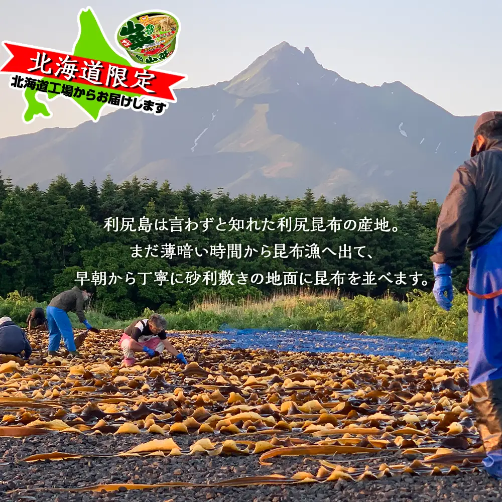 利尻昆布 使用！マルちゃん 山菜乱切りそば ２箱 (２４食入り)