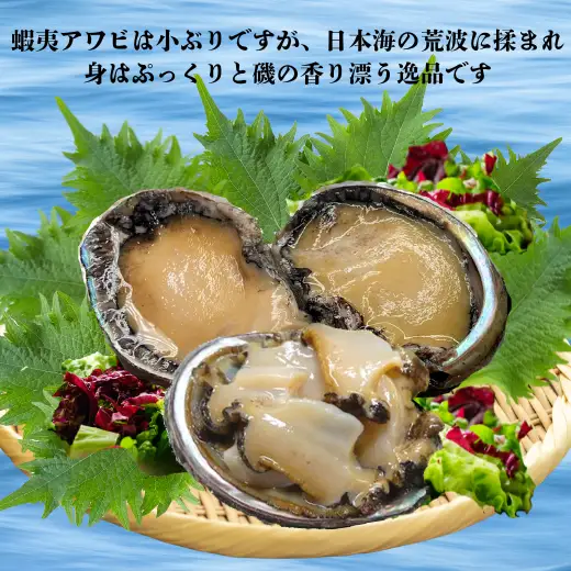8-048-003　【4.8万円コース・アワビ】おせちに年末海鮮便【12月中旬以降発送】