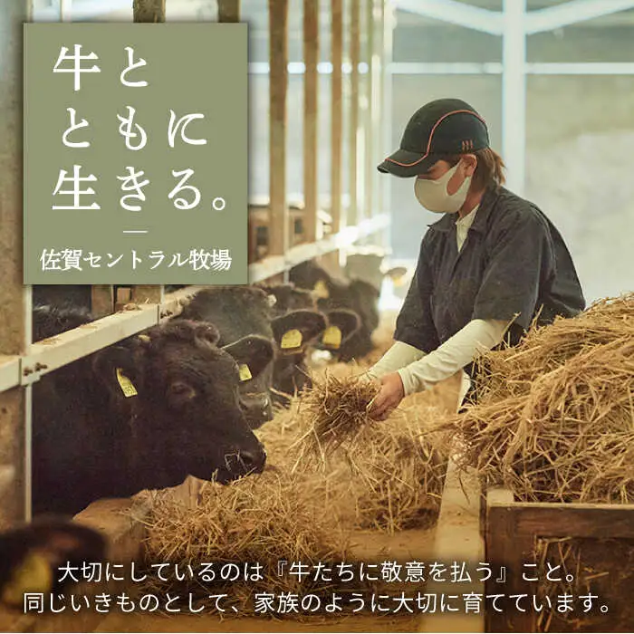 【4回定期便】佐賀牛 お一人様向け 定期便 / 牛肉 [IAH174]