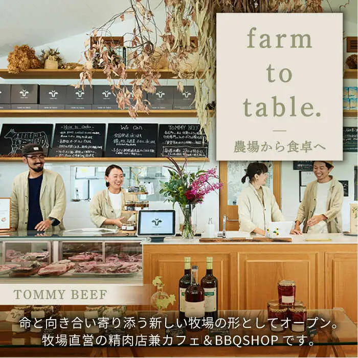 【8回定期便】佐賀牛 お一人様向け 定期便 / 牛肉 [IAH175]