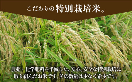 先行予約 3回定期便 令和8年産 3種食べ比べ！ 各回5kg（白米） / 白米 2027年1月～発送  [IAS014]