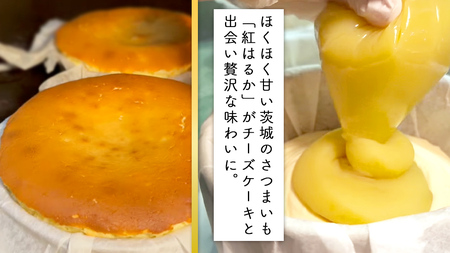 【茨城県産 紅はるか 使用】猿島産 抹茶 入りお芋の結 バスクチーズケーキ （直径約16cm）
