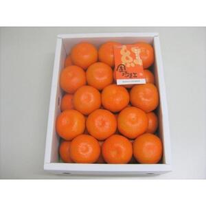 坂出市産 金時紅みかん 約2.5kg（21～30玉入り） 化粧箱入り