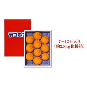 ハウスデコポン 約2.8kg（7～12玉入り） 化粧箱入り