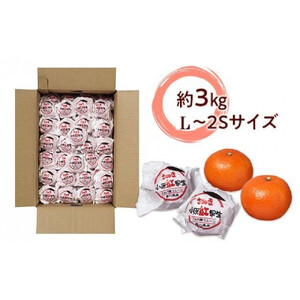越冬完熟みかん（小原紅早生）約3kg｜フルーツ 果物 くだもの 蜜柑 みかん 早生 食品 さぬき 坂出市 人気 おすすめ 送料無料