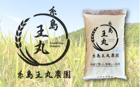 【全3回定期便】 糸島産 夢つくし 5kg × 3回（月1回）糸島市 / 糸島王丸農園 ( 谷口汰一 )【いとしまごころ】[AAZ002]