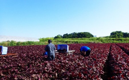 遠賀町への寄付（返礼品はありません） 1口 100,000円