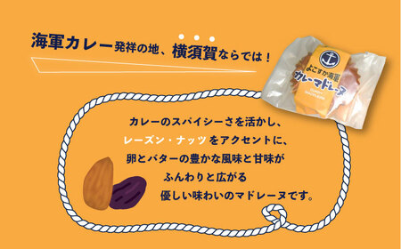 よこすか海軍カレーマドレーヌ 8個入り 【菓子工房モリ】 [AKBJ004]